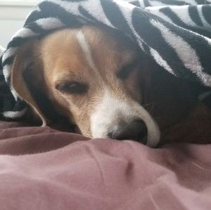 Meet your Posher, Marissa